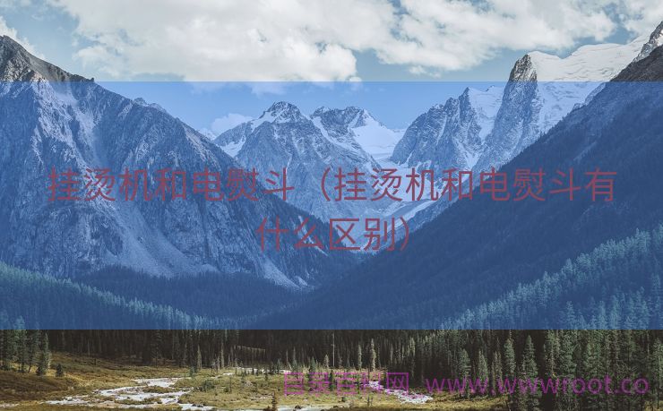 挂烫机和电熨斗（挂烫机和电熨斗有什么区别）