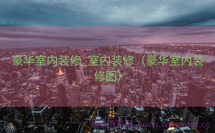 豪华室内装修_室内装修（豪华室内装修图）