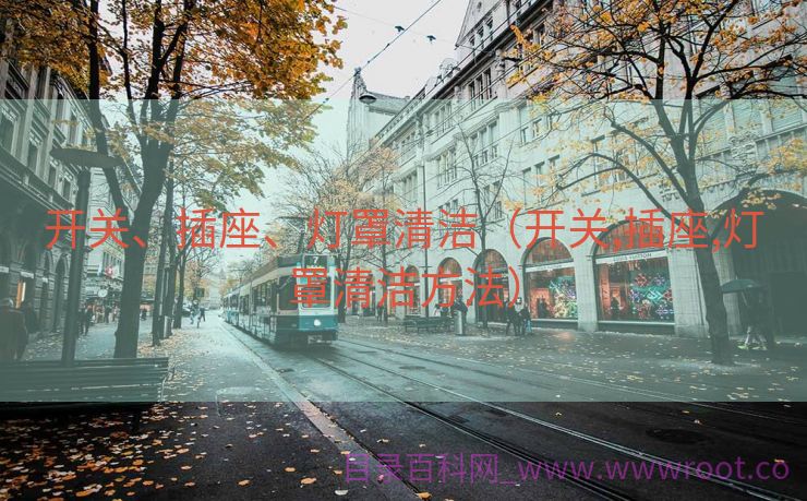 开关、插座、灯罩清洁（开关,插座,灯罩清洁方法）