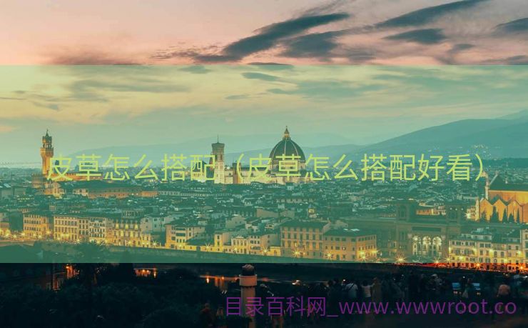 皮草怎么搭配（皮草怎么搭配好看）