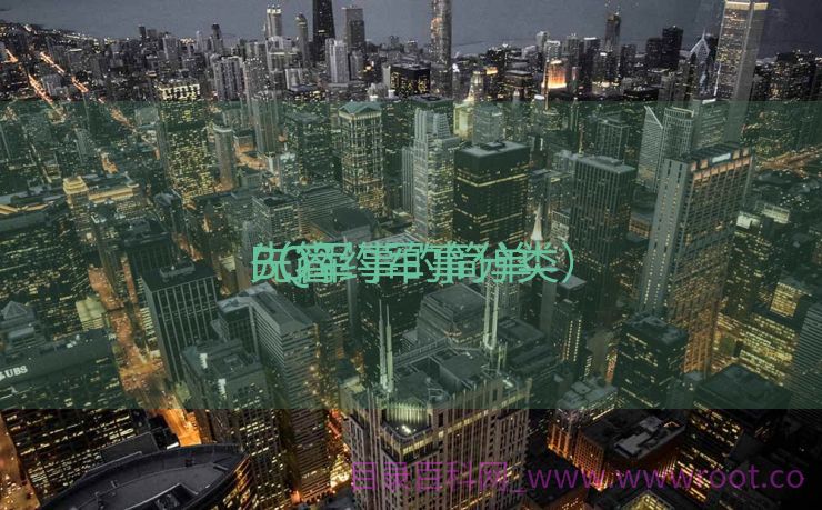 BQ军事的简单

先容
（简约军事分类）