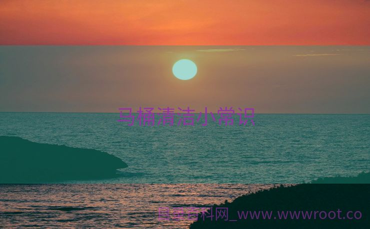 马桶清洁小常识