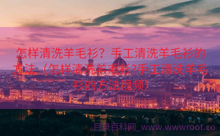 怎样清洗羊毛衫？手工清洗羊毛衫的方法（怎样清洗羊毛衫?手工清洗羊毛衫的方法视频）