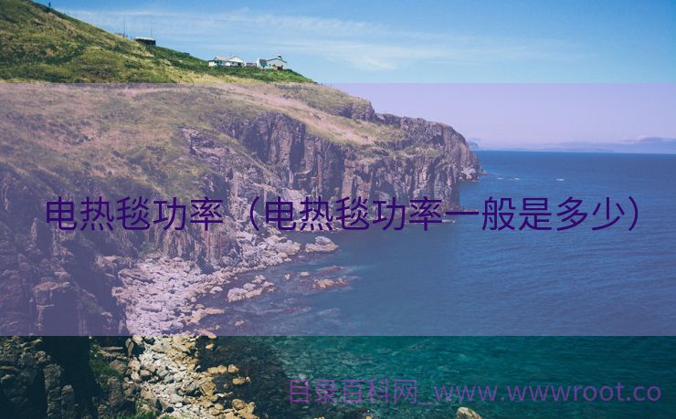 电热毯功率（电热毯功率一般是多少）