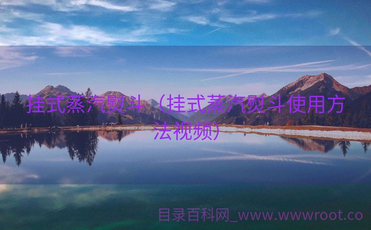 挂式蒸汽熨斗（挂式蒸汽熨斗使用方法视频）