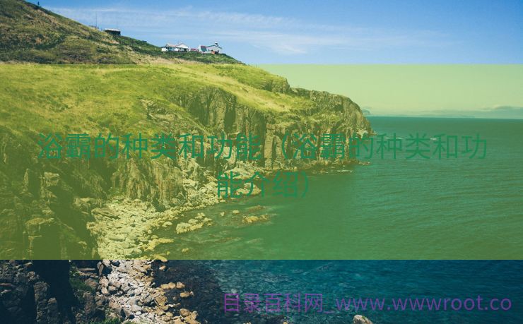 浴霸的种类和功能（浴霸的种类和功能介绍）