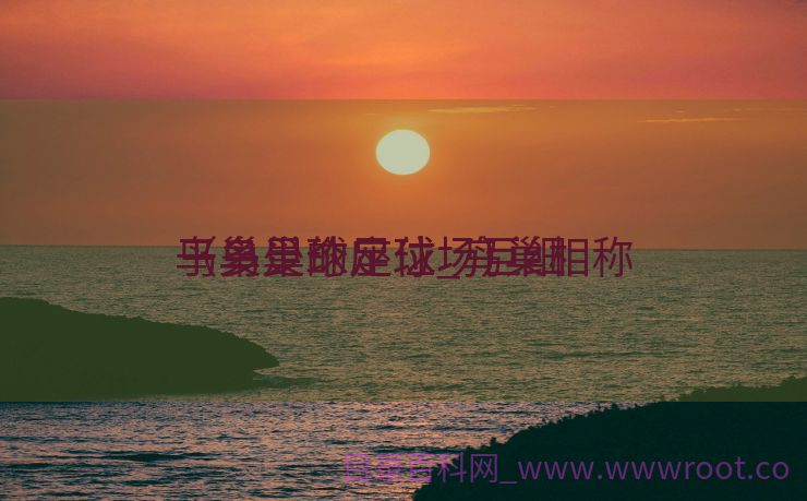 鸟巢足球座位_鸟巢相称
于多少个足球场巨细
（鸟巢的足球场）