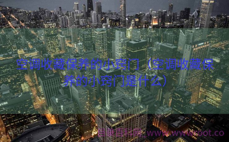 空调收藏保养的小窍门（空调收藏保养的小窍门是什么）