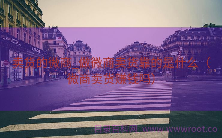 卖货的微商_做微商卖货靠的是什么（微商卖货赚钱吗）