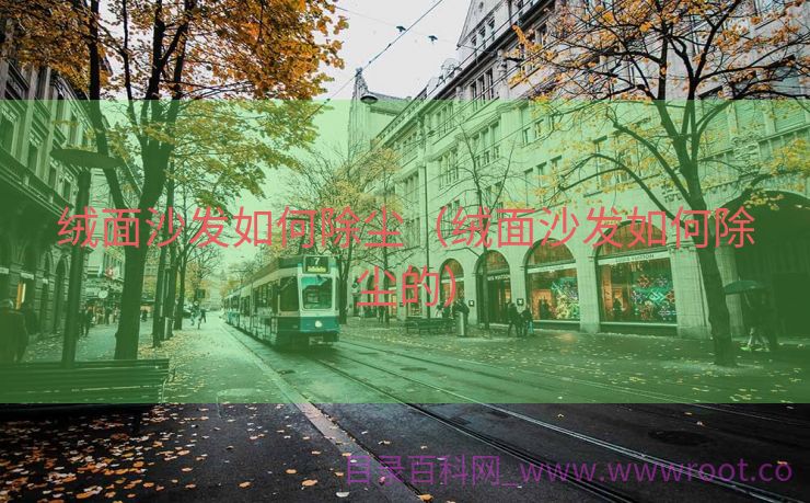 绒面沙发如何除尘（绒面沙发如何除尘的）