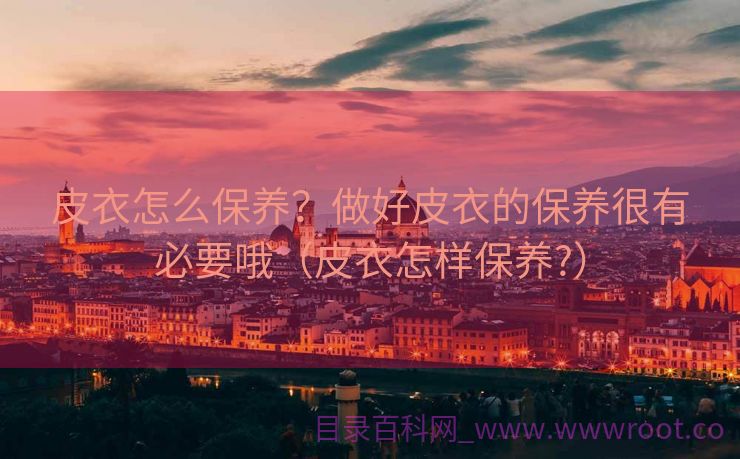 皮衣怎么保养？做好皮衣的保养很有必要哦（皮衣怎样保养?）