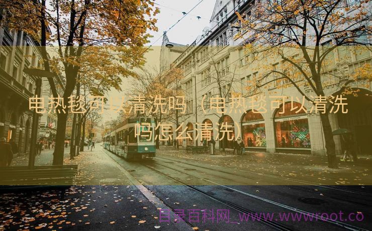 电热毯可以清洗吗（电热毯可以清洗吗怎么清洗）