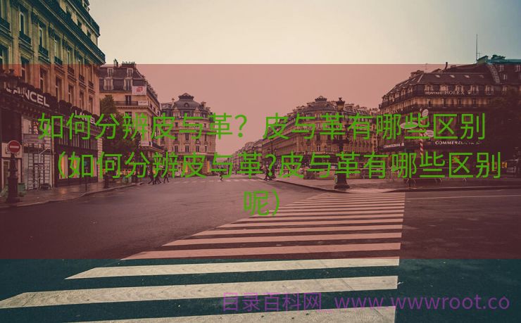 如何分辨皮与革？皮与革有哪些区别（如何分辨皮与革?皮与革有哪些区别呢）