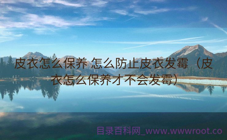 皮衣怎么保养 怎么防止皮衣发霉（皮衣怎么保养才不会发霉）