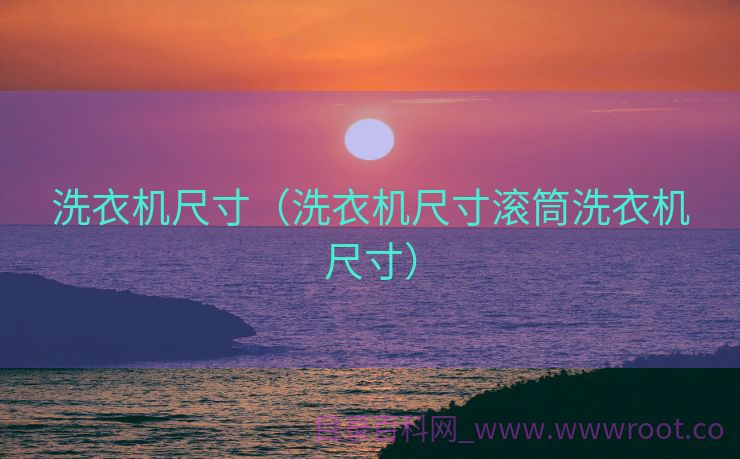 洗衣机尺寸（洗衣机尺寸滚筒洗衣机尺寸）
