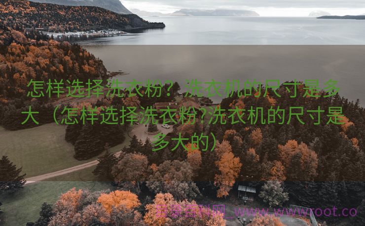 怎样选择洗衣粉？洗衣机的尺寸是多大（怎样选择洗衣粉?洗衣机的尺寸是多大的）