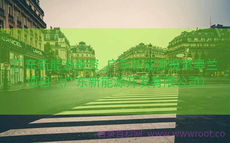 广东新能源投资_广东新能源投资皋兰项目（广东新能源开发有限公司）
