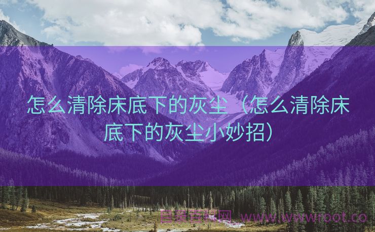 怎么清除床底下的灰尘（怎么清除床底下的灰尘小妙招）