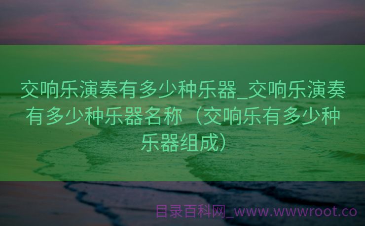 交响乐演奏有多少种乐器_交响乐演奏有多少种乐器名称（交响乐有多少种乐器组成）