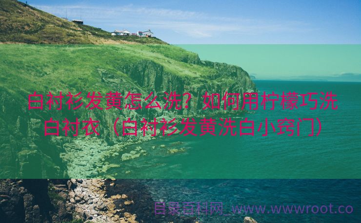白衬衫发黄怎么洗？如何用柠檬巧洗白衬衣（白衬衫发黄洗白小窍门）