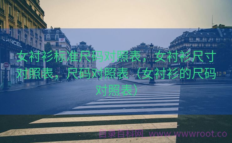 女衬衫标准尺码对照表，女衬衫尺寸对照表，尺码对照表（女衬衫的尺码对照表）