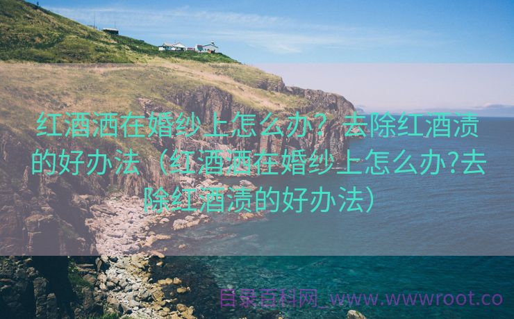 红酒洒在婚纱上怎么办？去除红酒渍的好办法（红酒洒在婚纱上怎么办?去除红酒渍的好办法）