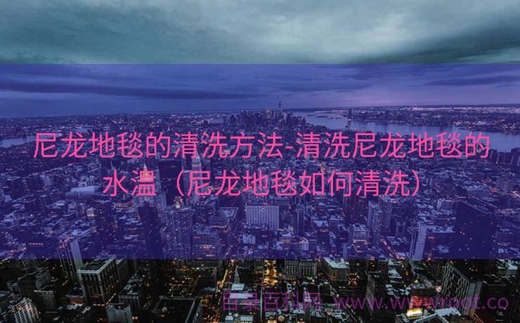 尼龙地毯的清洗方法-清洗尼龙地毯的水温（尼龙地毯如何清洗）