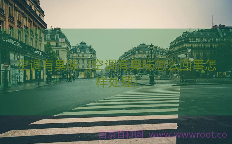 空调有臭味（空调有臭味怎么回事怎样处理）