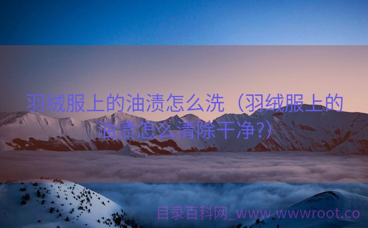 羽绒服上的油渍怎么洗（羽绒服上的油渍怎么清除干净?）