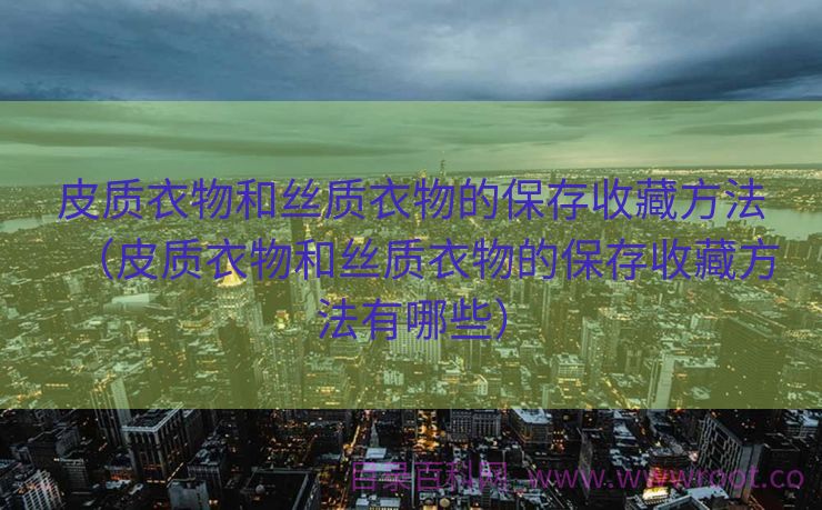 皮质衣物和丝质衣物的保存收藏方法（皮质衣物和丝质衣物的保存收藏方法有哪些）