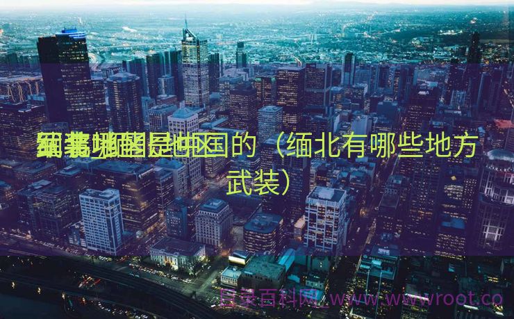 缅北地区

军事_缅北地区

武装哪些是中国的（缅北有哪些地方武装）