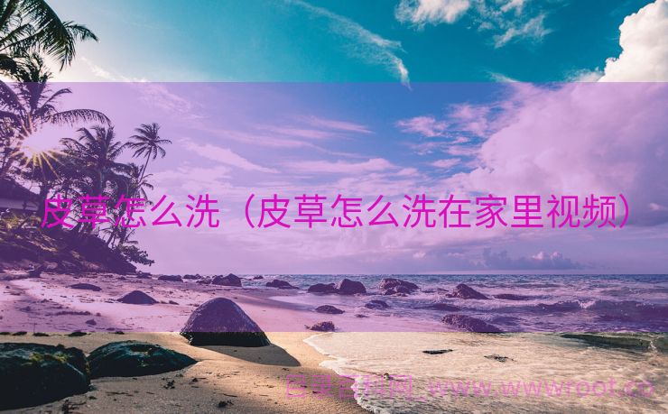 皮草怎么洗（皮草怎么洗在家里视频）