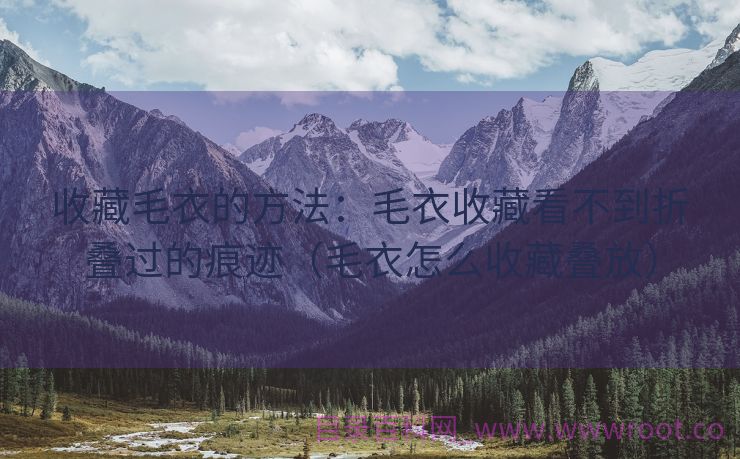 收藏毛衣的方法：毛衣收藏看不到折叠过的痕迹（毛衣怎么收藏叠放）