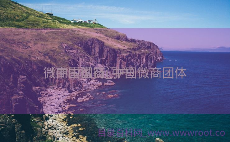 微商中国行_中国微商团体
（中国微商门户）
