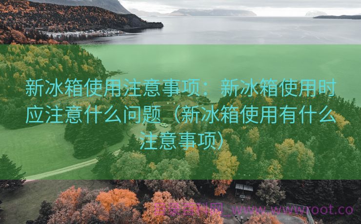 新冰箱使用注意事项：新冰箱使用时应注意什么问题（新冰箱使用有什么注意事项）