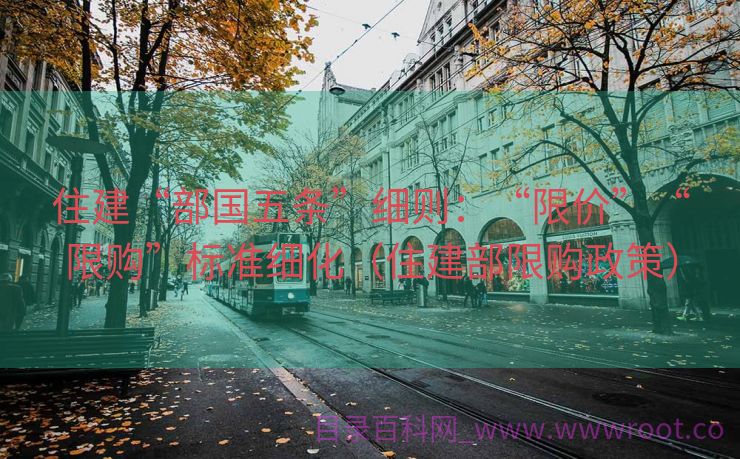 住建“部国五条”细则：“限价”“限购”标准细化（住建部限购政策）