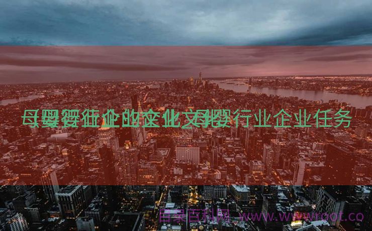 母婴行业企业文化_母婴行业企业任务
（母婴行业的企业文化）