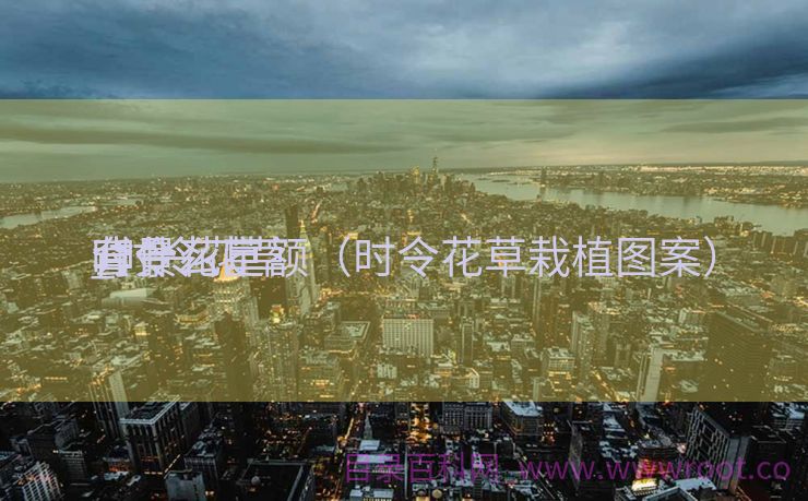 时令花草
背景
_时令花草
套什么定额（时令花草栽植图案）