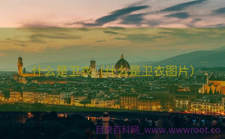什么是卫衣（什么是卫衣图片）
