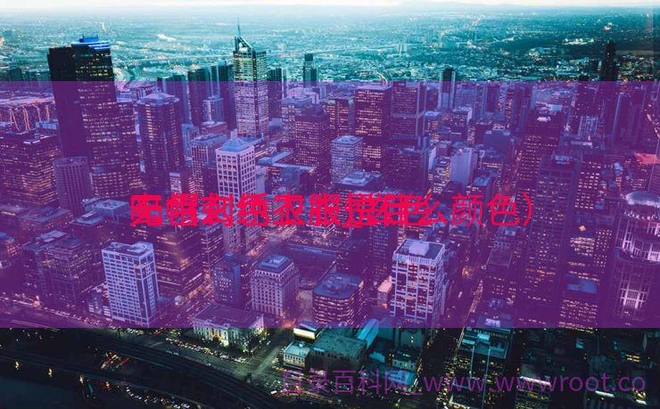 玄色
无帽刺绣卫衣_玄色
无帽刺绣卫衣悦目
吗（玄色衣服是什么颜色）