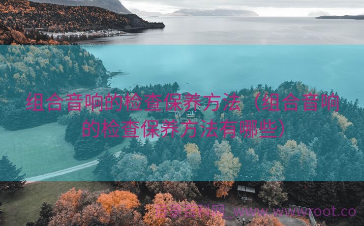 组合音响的检查保养方法（组合音响的检查保养方法有哪些）