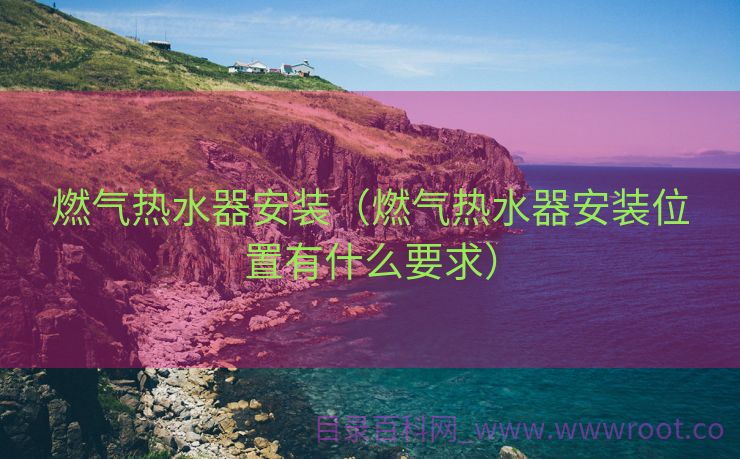 燃气热水器安装（燃气热水器安装位置有什么要求）