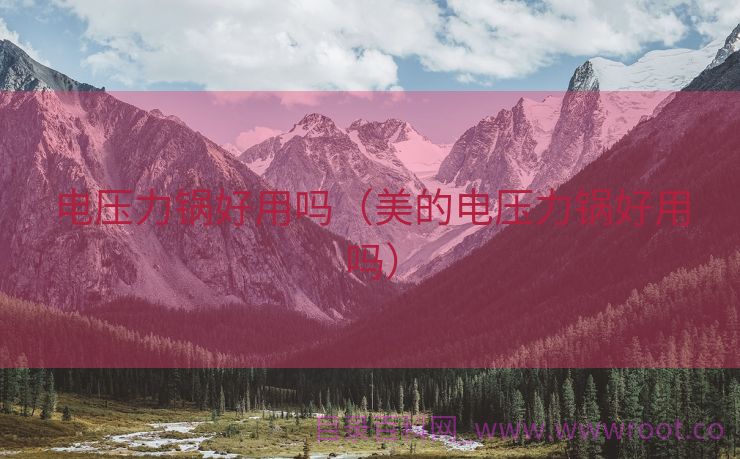 电压力锅好用吗（美的电压力锅好用吗）