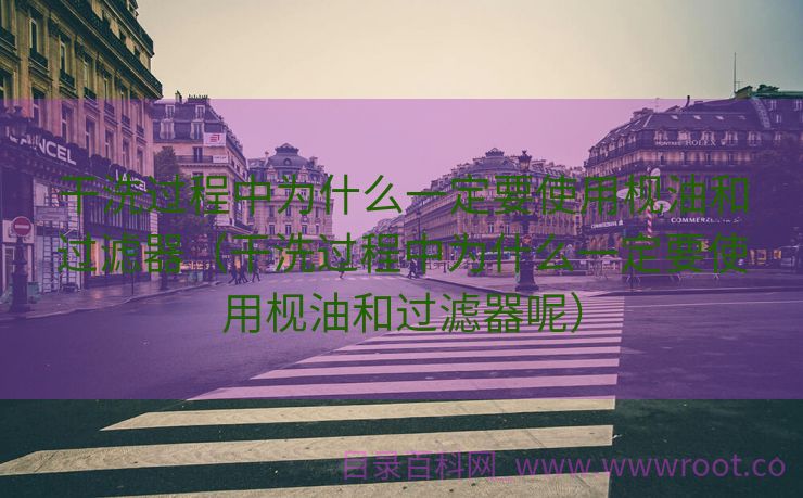 干洗过程中为什么一定要使用枧油和过滤器（干洗过程中为什么一定要使用枧油和过滤器呢）