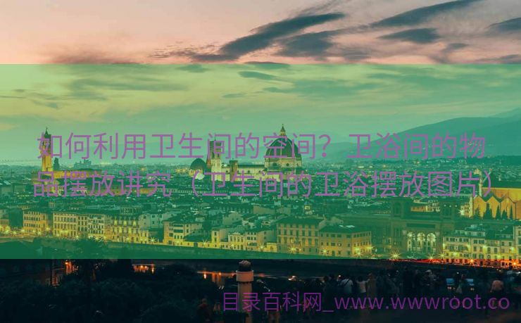 如何利用卫生间的空间？卫浴间的物品摆放讲究（卫生间的卫浴摆放图片）
