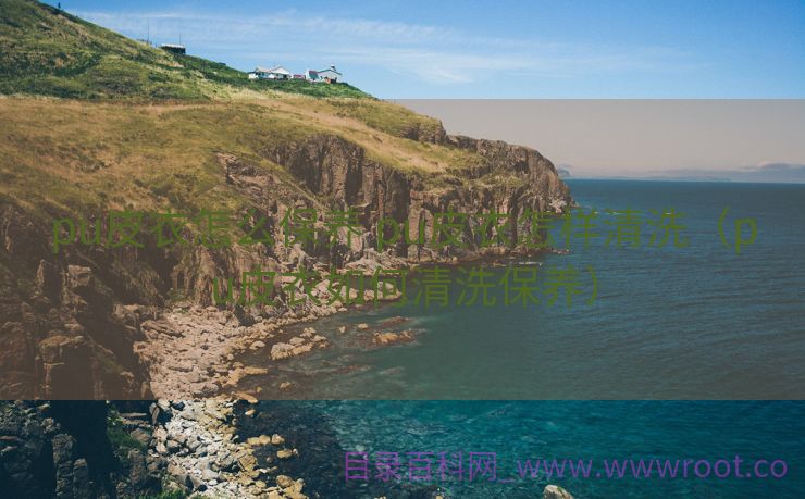 pu皮衣怎么保养 pu皮衣怎样清洗（pu皮衣如何清洗保养）