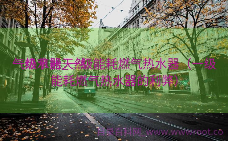 一级节能天然

气热水器_一级能耗燃气热水器（一级能耗燃气热水器的利弊）
