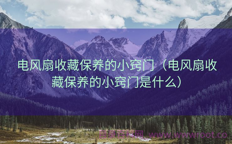 电风扇收藏保养的小窍门（电风扇收藏保养的小窍门是什么）
