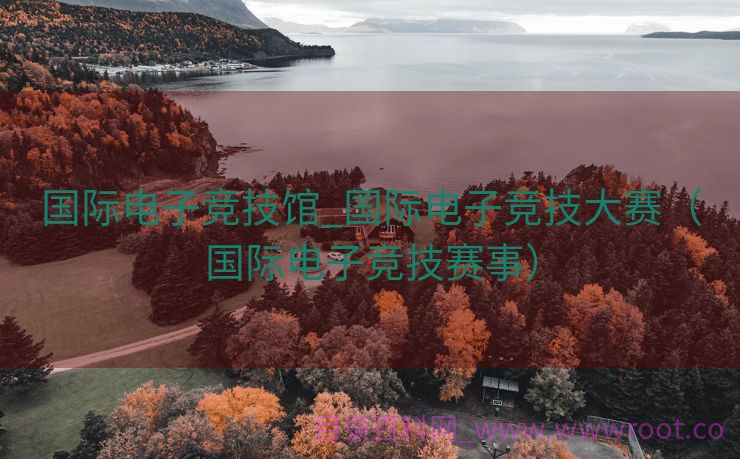 国际电子竞技馆_国际电子竞技大赛（国际电子竞技赛事）