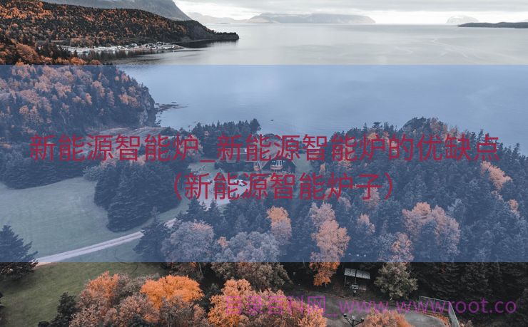 新能源智能炉_新能源智能炉的优缺点（新能源智能炉子）